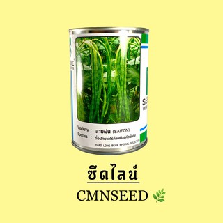 เมล็ดพันธุ์ ถั่วฝักยาวไร้ค้าง สายฝน 100 g กระป๋อง