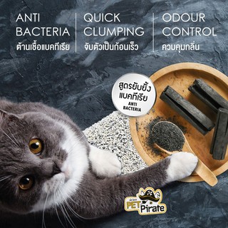 ภาพขนาดย่อของภาพหน้าปกสินค้าCatme Classic ทรายแมวภูเขาไฟ สูตร Activated Carbon กำจัดกลิ่นเหม็น ดูดซับกลิ่นได้ดี สำหรับแมวทุกสายพันธุ์ บรรจุ 10 ลิตร จากร้าน petpirateshop บน Shopee