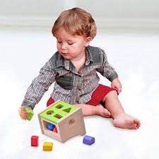 ของเล่นไม้ กล่องหยอดรูปทรงเรขา ของเล่นบล็อกหยอด ของเล่นเด็กเสริมพัฒนาการ  สินค้า Clearance จากแบรนด์  WONDERWORLD