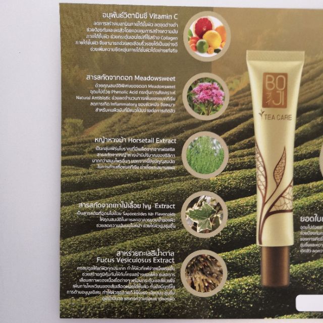 boji-tea-care-ครีมยอดใบชา-450-บาท-ซื้อ-1-แถม-1-ส่งฟรี