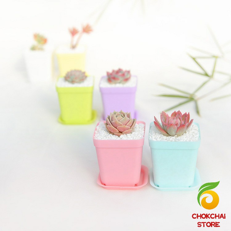 chokchaistore-กระถางต้นไม้พลาสติก-พร้อมถาดรอง-กระถางขนาดเล็ก-plastic-flowerpot