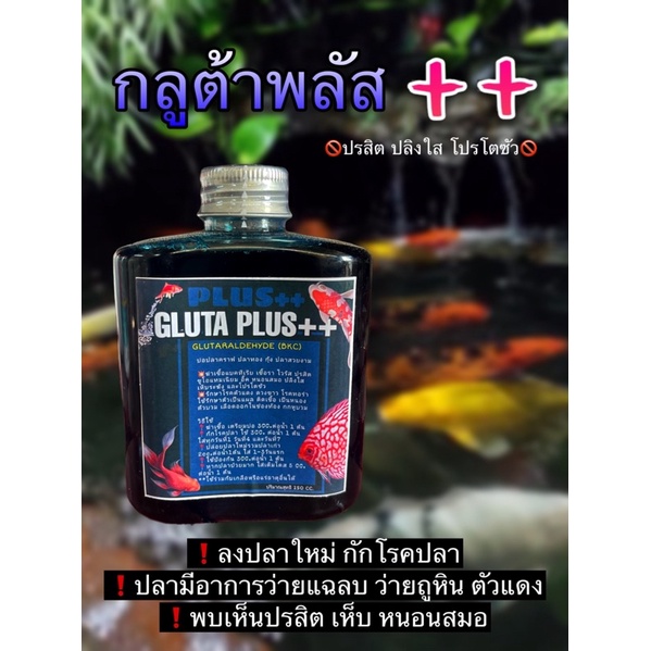 ยาปลา-กำจัดปรสิต-glutaraldehyde-bkc-ยาฆ่าเชื้อในบ่อและตู้ปลา-กักโรคปลาคาร์ฟและสัตว์น้ำ-บรรจุ-250-ml