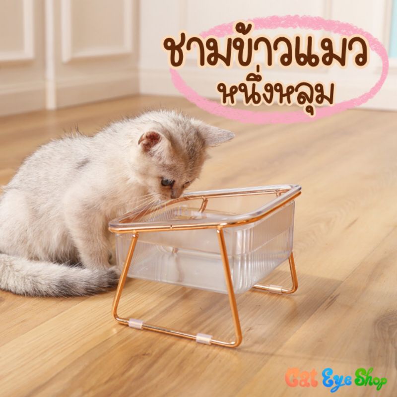 ชามข้าวแมว-ขาตั้งเคลือบเงา-มีแบบ-1-หลุมและ-2-หลุม