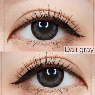 Dali Gray (1)(2) Wink บิ๊กอาย สีเทา เทา ขอบช็อคโก้ คอนแทคเลนส์ Bigeyes Contact Lens ค่าสายตา สายตาปกติ สายตาสั้น แฟชั่น