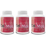 cal-mag-calcium-plus-magnesium-แคลเซียม-แมกนีเซียม-กระดูก-ข้อ-กล้ามเนื้อ-ขนาดบรรจุ-60-แคปซูล-3-กระปุก