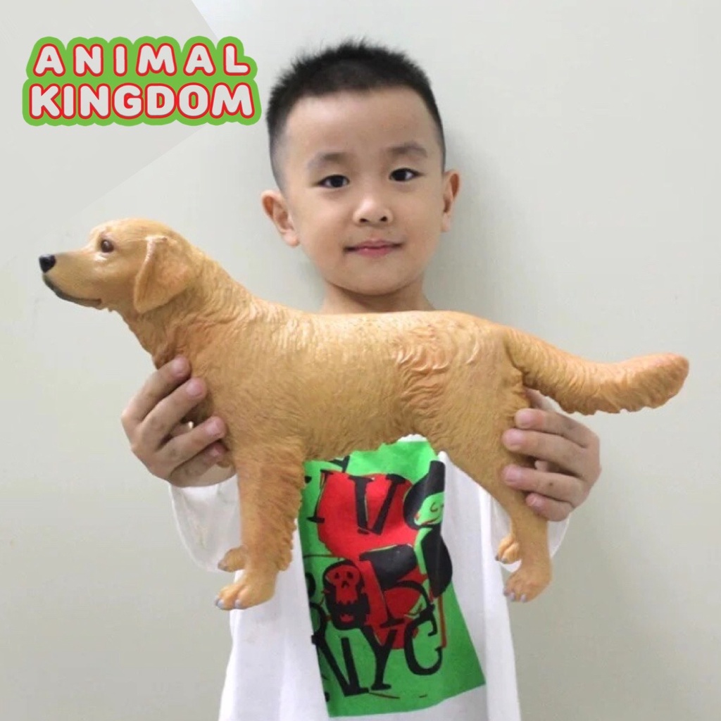 animal-kingdom-โมเดลสัตว์-สุนัข-หมาโกลเด้น-แบบนิ่ม-ขนาด-35-00-cm-จากหาดใหญ่