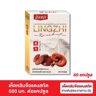 [ส่งฟรี] Zenji เห็ดหลินจือแดง สกัด  500 มก. + โรสฮิปสกัด 60 แคปซูล/กล่อง หลินจือ โรสฮิป