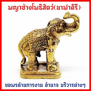 พระยาช้างมหาโพธิสัตว์(ช้างนาฬาคิรี) ผู้ที่จะมาตรัสรู้เป็นพระพุทธเจ้าในอนาคตกาล อันมีพระนามว่า"พระติสสสัมมาสัมพุทธเจ้า"
