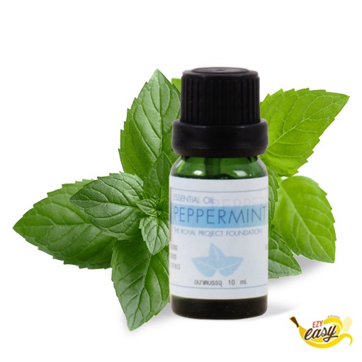 น้ำมันหอมระเหย-กลิ่นเปปเปอร์มิ้นท์-มูลนิธิโครงการหลวง-exp-11-24-pure-peppermint-oil-น้ำมันหอมระเหย-โครงการหลวง