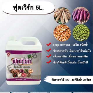 ฟุตเวิร์ก 5L. ขยายหัวมัน มันหัวโต เพิ่มเปอร์เซ็นต์แป้ง  เพิ่มผลผลิต เพิ่มขนาดผลผลิตช่วยให้ผลมีเนื้อแน่น น้ำหนักดี