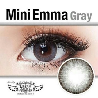mini Emma Gray (1) มินิ สีเทา เรียบๆ  💜 Dreamcolor1 ค่าอมน้ำ42% Contact Lens Bigeyes คอนแทคเลนส์ ค่าสายตา สายตาสั้น