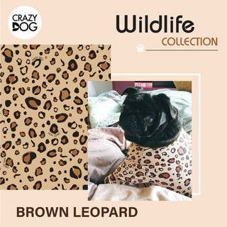 ชุดเก็บขนCrazydog Brown Leopard