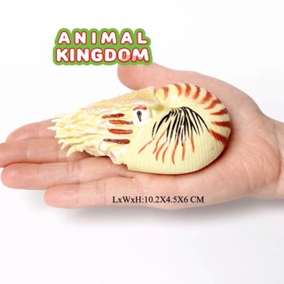 Animal Kingdom - โมเดลสัตว์ หอย นอติลอยด์ น้ำตาล ขนาด 10.50 CM (จากสงขลา)