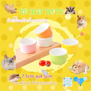 [hamster travel] ชามอาหาร ถ้วยคัพเค้ก สำหรับสัตว์เลี้ยง แฮมสเตอร์SFL