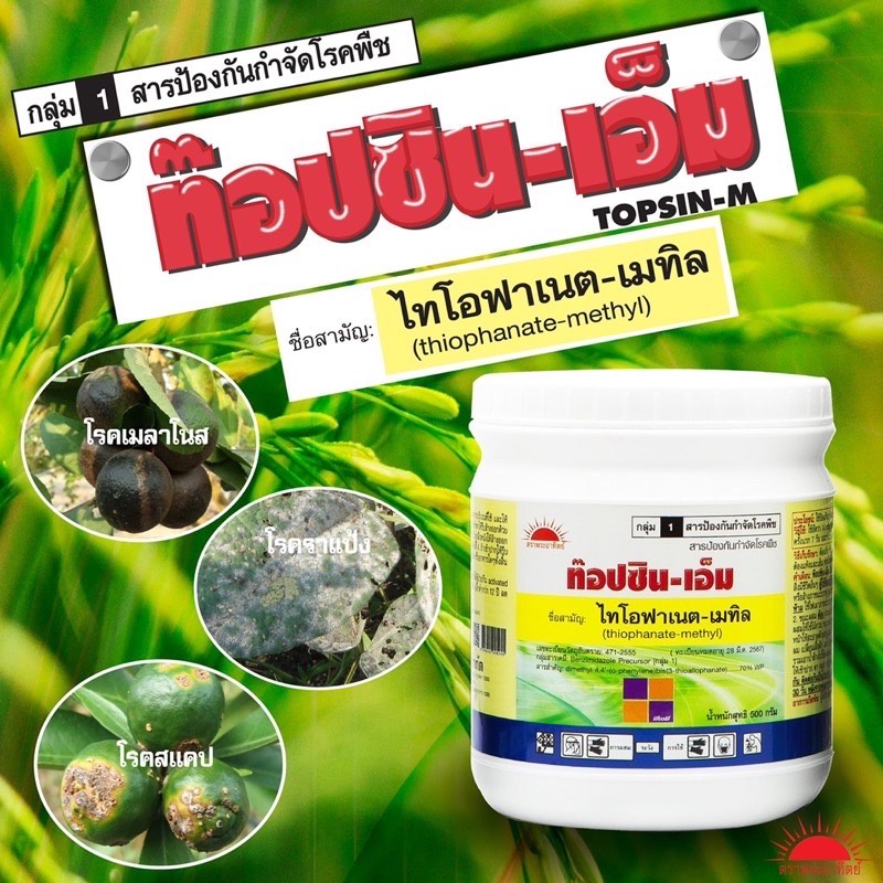 ไทโอฟาเนต-เมทิล-ท๊อปซินเอ็ม-500กรัม-ป้องกันกำจัดโรคเชื้อรา