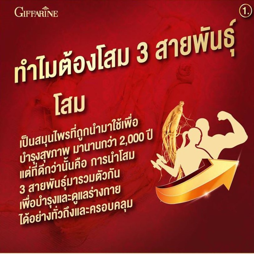 มีโปร-มีโปร-ทรีจี-จินเส็ง-จินเซ็ง-กิฟฟารีน-สกัดจากโสมแดงเกาหลี-3g-ginseng-giffarine-ส่งฟรี