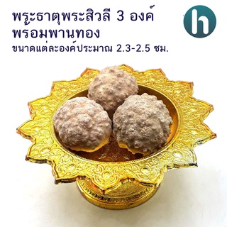 พระธาตุพระสิวลี 3 พระองค์ พร้อมพานทอง ขนาดของพระธาตุ 2.3-2.5 ซม.