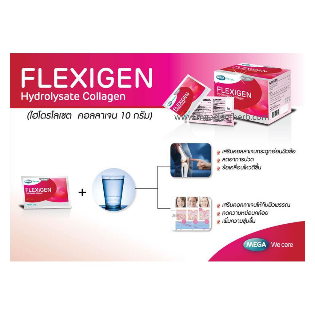 mega-flexigen-เฟลกซิเจน-mega-we-care-flexigen-collagen-เสริมคอลลาเจนให้กระดูกอ่อน-ถูกที่สุด