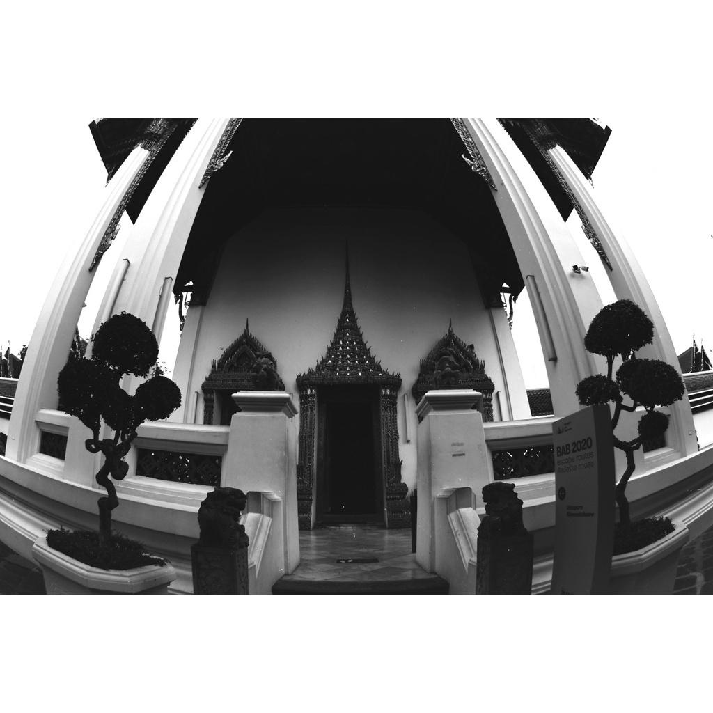 ฺFuji Eterna RDS Black&White 1ม้วนประมาณ 36ภาพ | Shopee Thailand