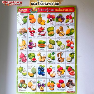 โปสเตอร์🧧ผลไม้สวยงาม✅ ภาษาไทยเบื้องต้น กขค ก.ไก่ ก-ฮ เสริมพัฒนาการ เตรียมอนุบาล อนุบาล นิทานอีสป สูตรคูณ poster