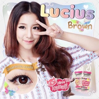 Lucius Brown (1)(2) บิ๊กอาย สีน้ำตาล คอนแทคเลนส์ น้ำตาล Kitty Kawaii ค่าอมน้ำสูง ป้องกันรังสี UV Bigeye contact lens