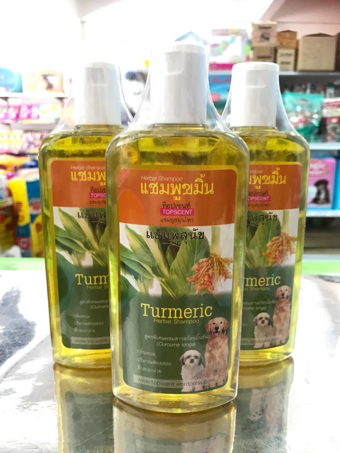 แชมพูขมิ้น-topscent-สำหรับสุนัขเป็นโรคผิวหนัง