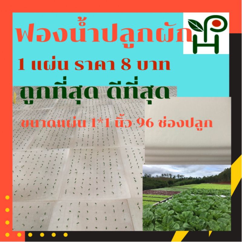 My Image 47