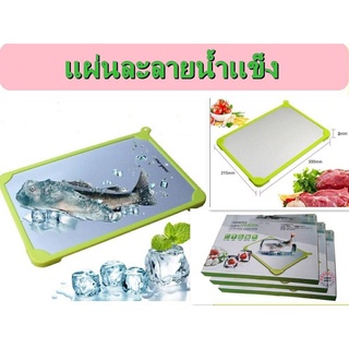 Superhomeshop แผ่นละลายน้ำแข็ง อาหารแช่แข็ง รุ่น IceFreezer-21May-J1