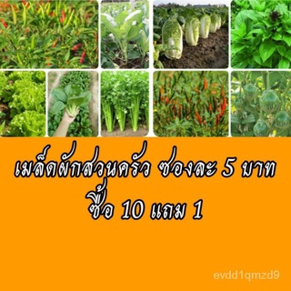 เมล็ดพันธุ์ผัก เมล็ดผักสวนครัว เมล็ดพันธุ์ผักสวนครัว ปลูกง่ายโตไว ราคา5บาทSunflowerCosmosRoseCabbageZinniaColoresculentu