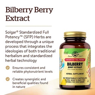 Solgar, Bilberry Berry Extract, Ginkgo Eyebright Complex สุขภาพดวงตา การมองเห็น