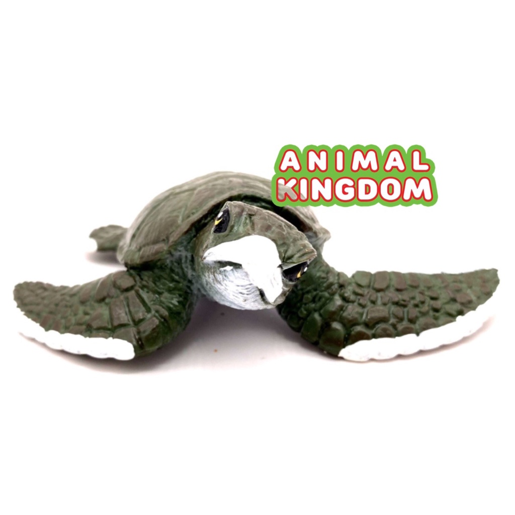 animal-kingdom-โมเดลสัตว์-เต่าทะเล-เขียว-ขนาด-12-00-cm-จากสงขลา