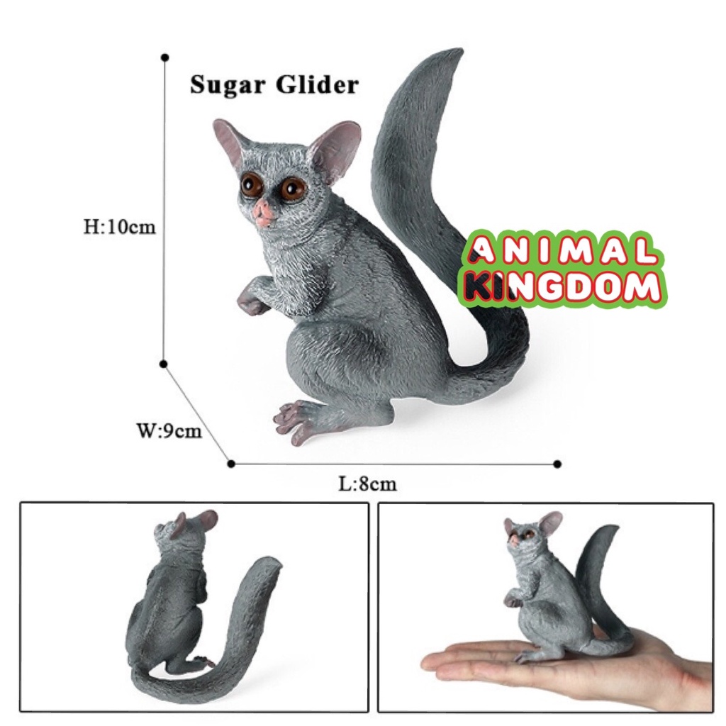 animal-kingdom-โมเดลสัตว์-บ่าง-กระลอกบิน-ขนาด-10-00-cm-จากหาดใหญ่