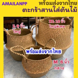 ภาพหน้าปกสินค้าพร้อมส่ง ตระกร้าสาน ใส่ต้นไม้ พับได้ ส่งจากไทยทันที ตระกร้ากระจูด ตระกร้าต้นไม้ มอนสเตอเรลา กระถางต้นไม้ ซึ่งคุณอาจชอบสินค้านี้