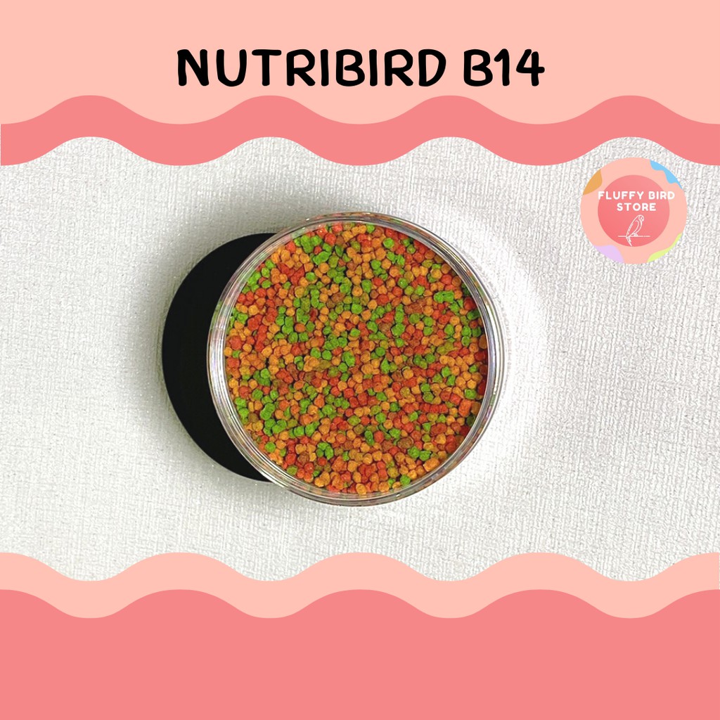 nutribird-b14-อาหารเม็ดไขมันต่ำ-รสถั่ว-ผลไม้