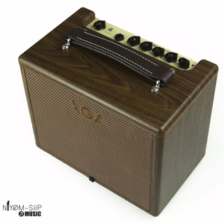 แอมป์กีต้าร์โปร่ง Aga SC-40 III Acoustic Amp
