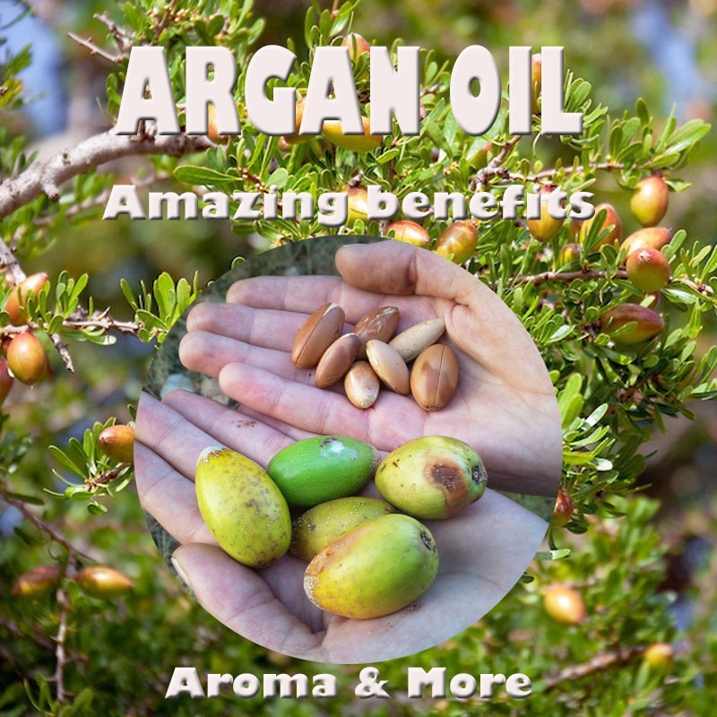 aroma-amp-more-argan-oil-อาร์แกน-ออยล์บริสุทธิ์-virgin-organic-morocco-cosmetic-grade-30-120ml