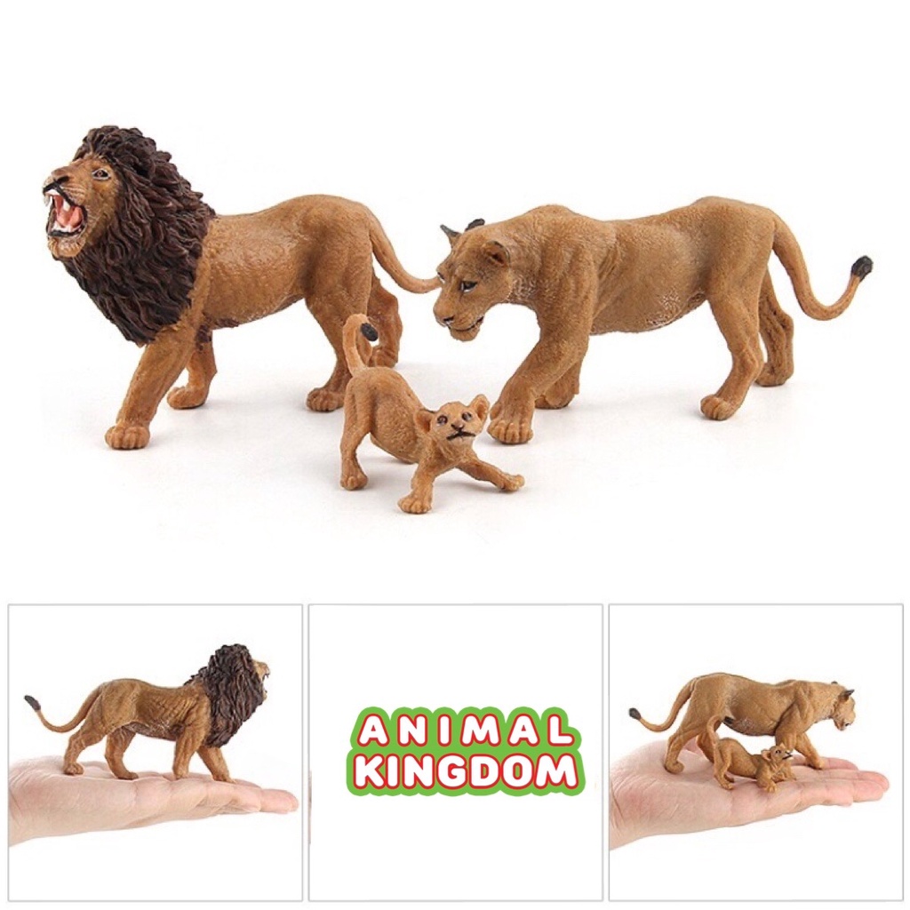 animal-kingdom-โมเดลสัตว์-สิงโต-พ่อแม่ลูก-ชุด-3-ตัว-จากหาดใหญ่