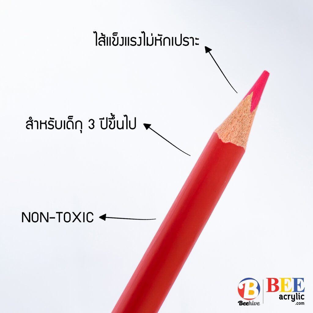 สีไม้-ดินสอสี-beehive-สีสดเข้ม-เนื้อนุ่ม-ระบายง่าย