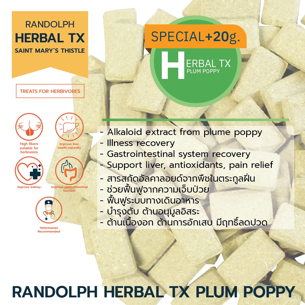 randolph-แรนดอล์ฟ-่herbal-tx-plume-poppy-ฟื้นฟูการเจ็บป่วย-ต้านอนุมูลอิสระ-ชลอความชรา-และลดปวด-แบ่งขาย-6-เม็ด