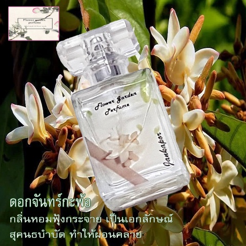 น้ำหอมกลิ่นดอกไม้ไทย-จันทร์กะพ้อ30ml