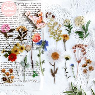 ภาพหน้าปกสินค้าสติกเกอร์ ลายดอกไม้ สําหรับตกแต่งสมุดไดอารี่ 40 ชิ้น / ถุง ที่เกี่ยวข้อง
