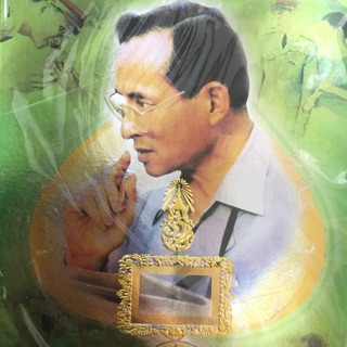 แผ่นเม้า
