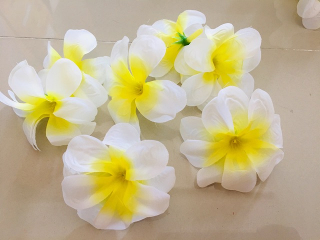ดอกลีลาวดี-หัวดอกลีลาวดี-ดอกลีลาวดีสีขาวอมเหลืองเสมือนดอกจริง-no-060