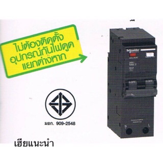 เมนกันดูด 2P 50A Schneider เบรกเกอร์กันดูด RCBO 2P 63A / 2P 40A