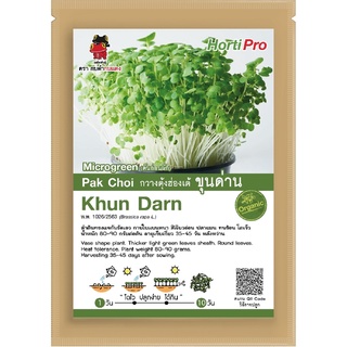 เมล็ดต้นอ่อน กวางตุ้งฮ่องเต้ ขุนด่าน Microgreen Pak Choi Khun Darn 10 g.
