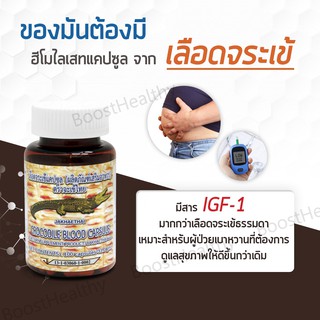 ภาพขนาดย่อของภาพหน้าปกสินค้าฮีโมไลเสท (Hemolysis) ส่งฟรี เพื่อผู้ป่วยเบาหวาน ส่วนพิเศษเลือดจระเข้ งานวิจัยม.เกษตร 100 แคปซูล (ของแท้100%) จากร้าน boost_healthy บน Shopee ภาพที่ 7