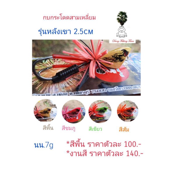 กบกระโดดสามเหลี่ยม-รุ่นหลังเขา-ขนาด2-5cm-โปรซื้อ-2-แถมกบยาง1