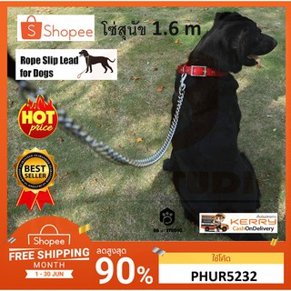 สายจูงหมา โซ่จูงหมา 🔥 🔥 Metal Dog Leash, ส่งไว 1-3 วัน ได้รับสินค้า สินค้าพร้อมส่ง 🐶🐱