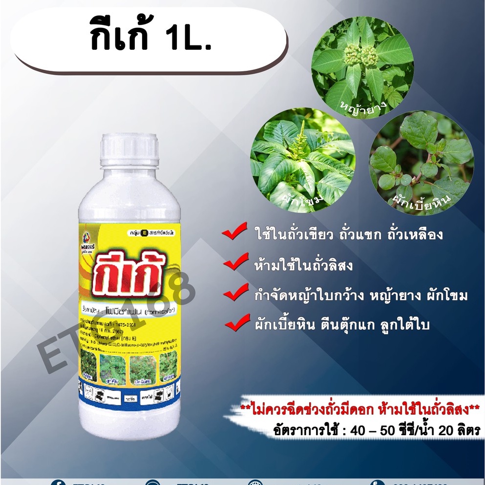 กีเก้-1l-โฟมีซาเฟน-สารกำจัดหญ้า-ใบกว้าง-ในถั่วเขียวผิวมัน-ถั่วเขียวผิวดำ-ถั่วเหลือง-สารกำจัดวัชพืช