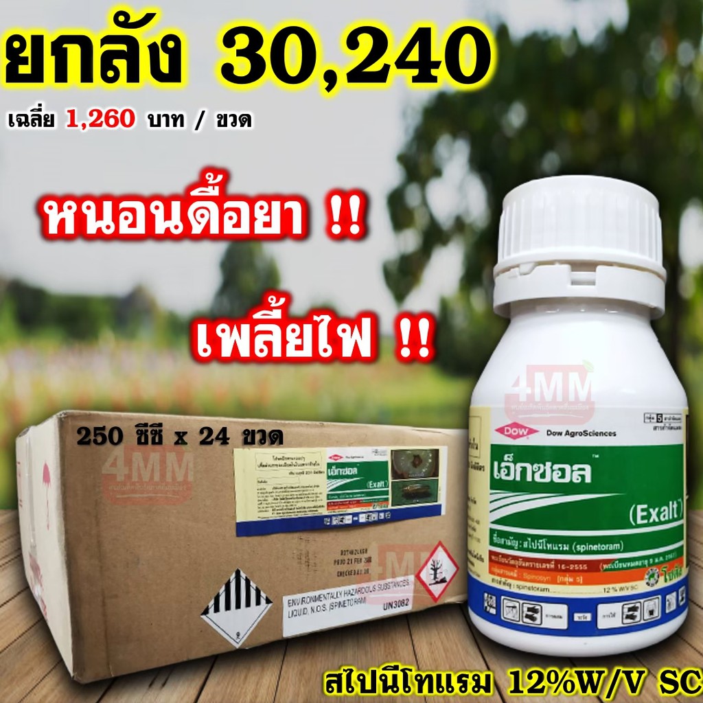 เอ็กซอล-ขนาด-250-ซีซี-ยกลัง-24-ขวด